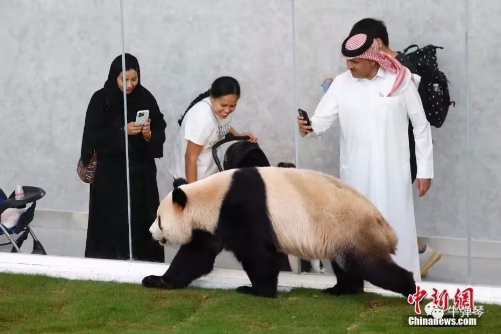 世界杯第一天，中国在卡塔尔做了一件大事